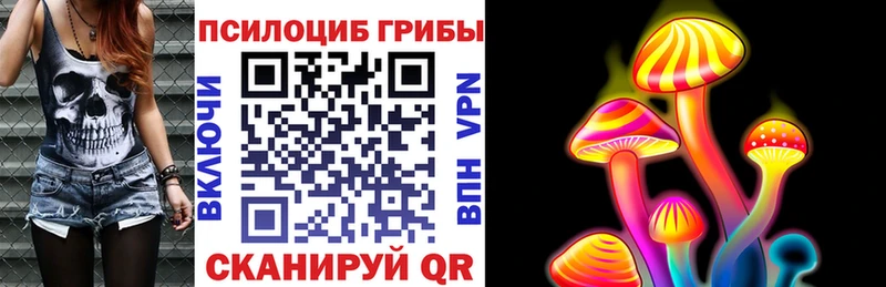 купить закладку  Баймак  Псилоцибиновые грибы Psilocybine cubensis 
